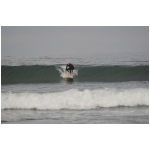 Christian Surfers 161.JPG