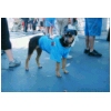 07 Dog to Walk for Asthma